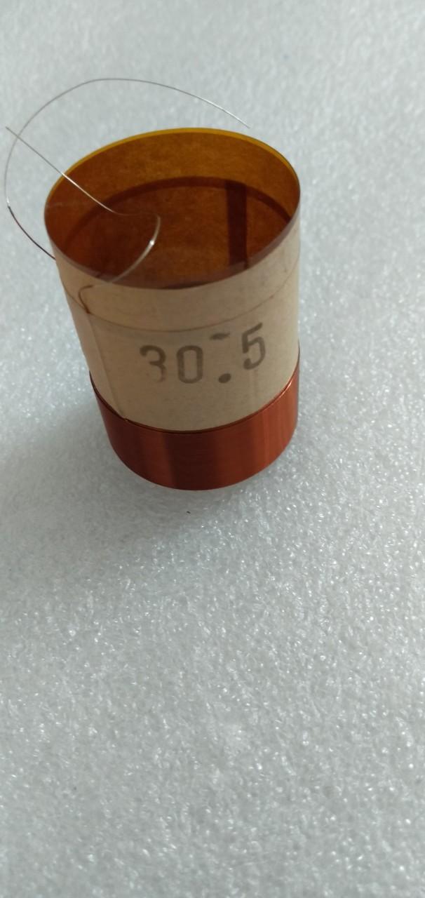 côn loa 30.5 2 lớp - Điện Tử Nhật Anh