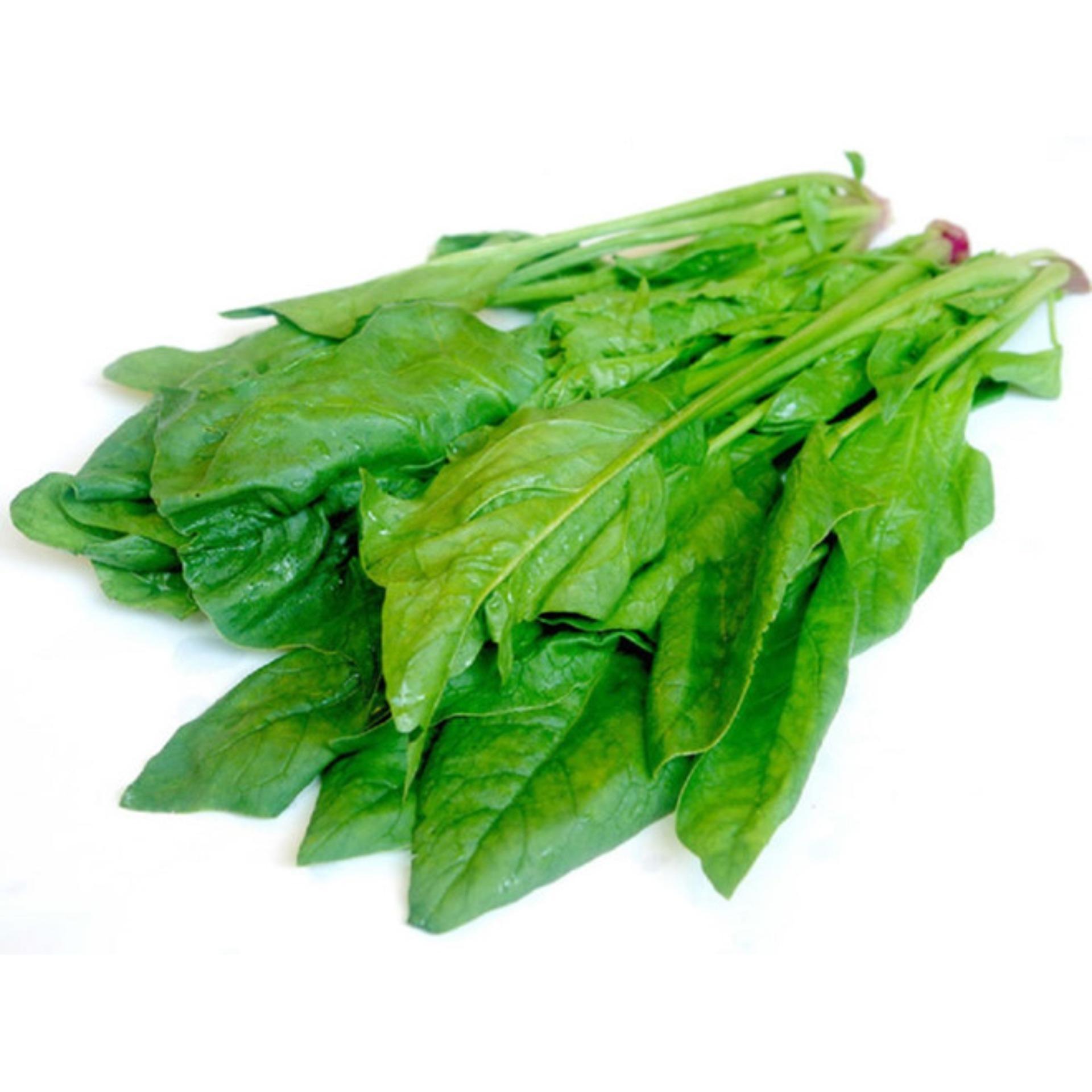 BỘT CẢI BÓ XÔI NGUYÊN CHẤT 50G