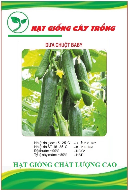 Hạt giống dưa chuột baby chùm ct77 - gói 10 hạt