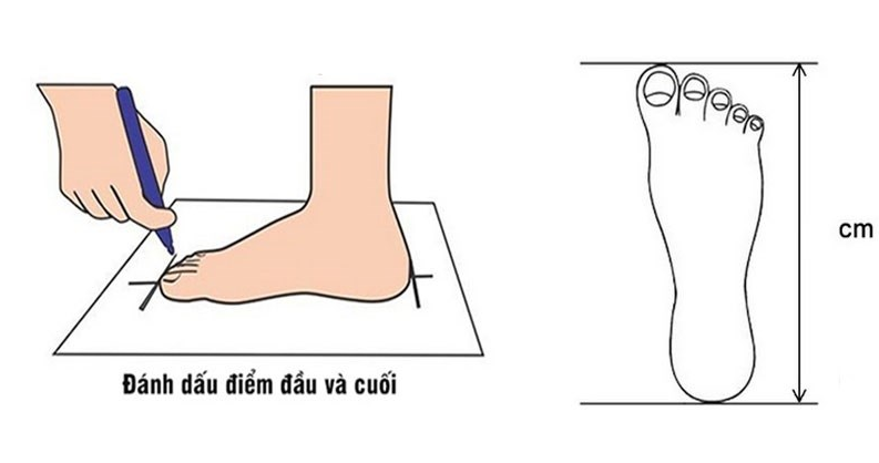 SỤC DAS ADIFOM [TẶNG - VỚ] NAM NỮ CAO CẤP ĐÚC NGUYÊN KHỐI NHẸ - BỀN - DỄ VỆ SINH - FORM NHỎ - CHỌN TĂNG THÊM 1 SIZE
