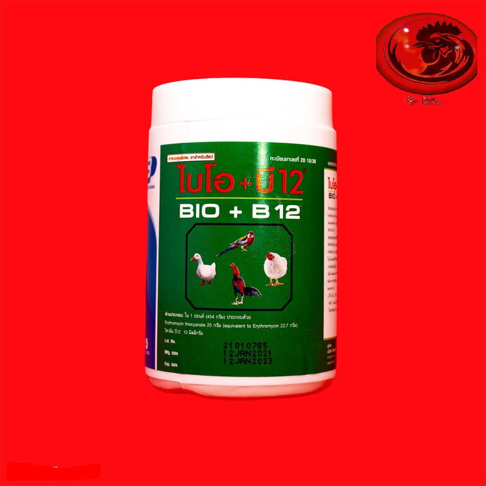 BIO-B12  ÚM GÀ CON GÀ ĐÁ 1 HỦ