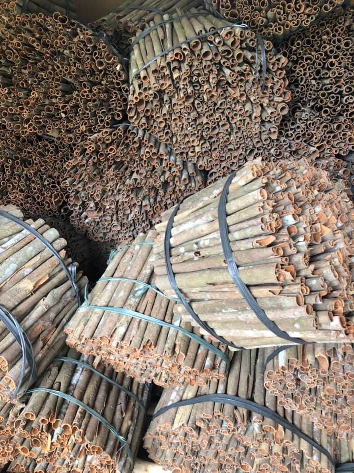 1kg Quế thanh chưa cạo vỏ ( vỏ quế thơm, sạch)