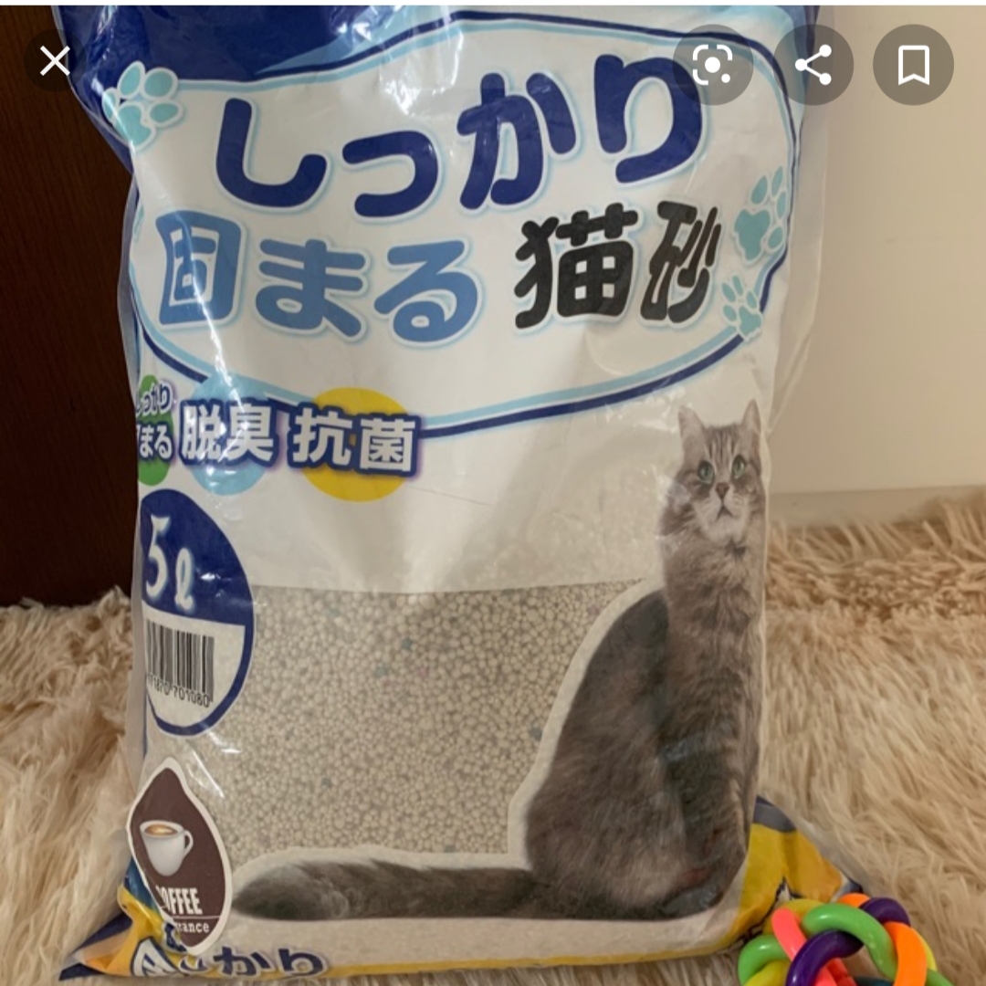 Cát Nhật Xanh 5L (Litter)