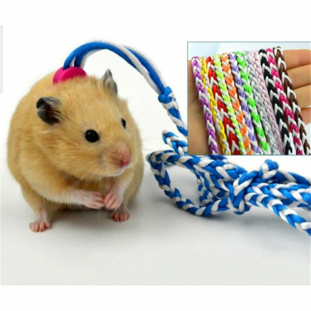 Dây dắt Hamster, thỏ, bọ và thú nhỏ