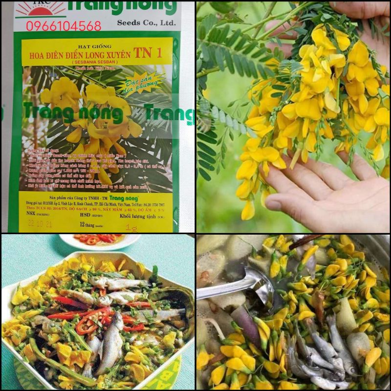 Hạt giống bông điên điển tứ quý Trang Nông gói 1g rất dễ trồng