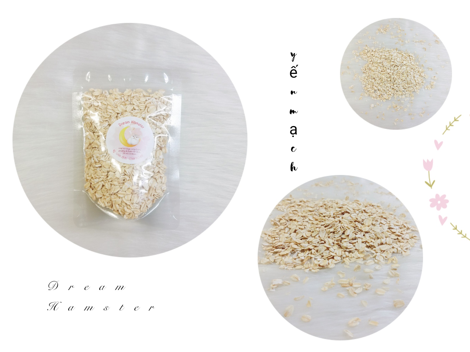 Yến mạch bổ dưỡng cho Hamster (100gr)