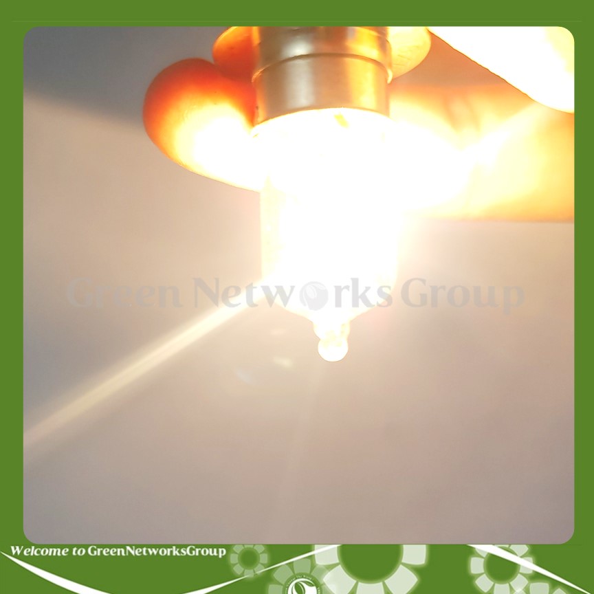 Bóng đèn pha Halogen SpotLight 12V 18-18W chân M5 Greennetworks