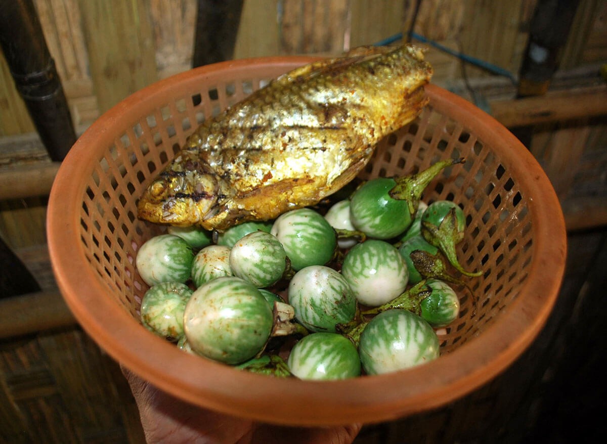 Frog Skin Tomato Seeds - 1 Pack of 0.5 Grams