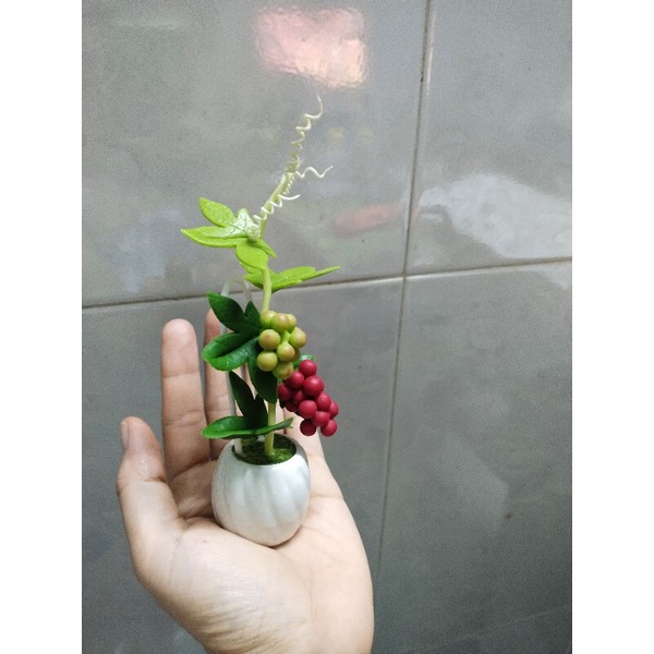 Chậu nho đất sét mini cao 15cm