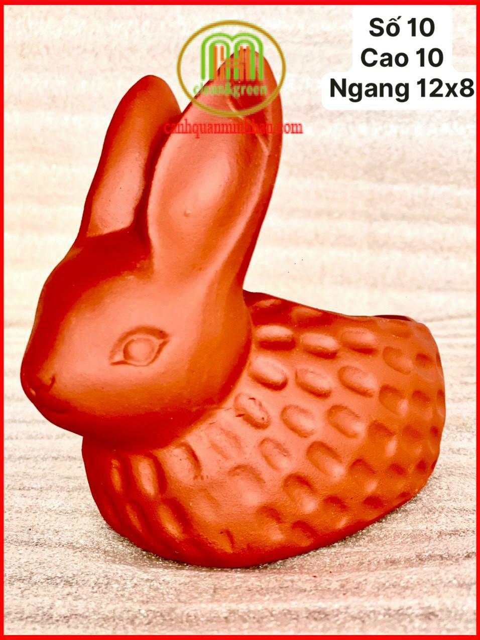 Chậu trồng sen đá mini cute đất nung hình thú