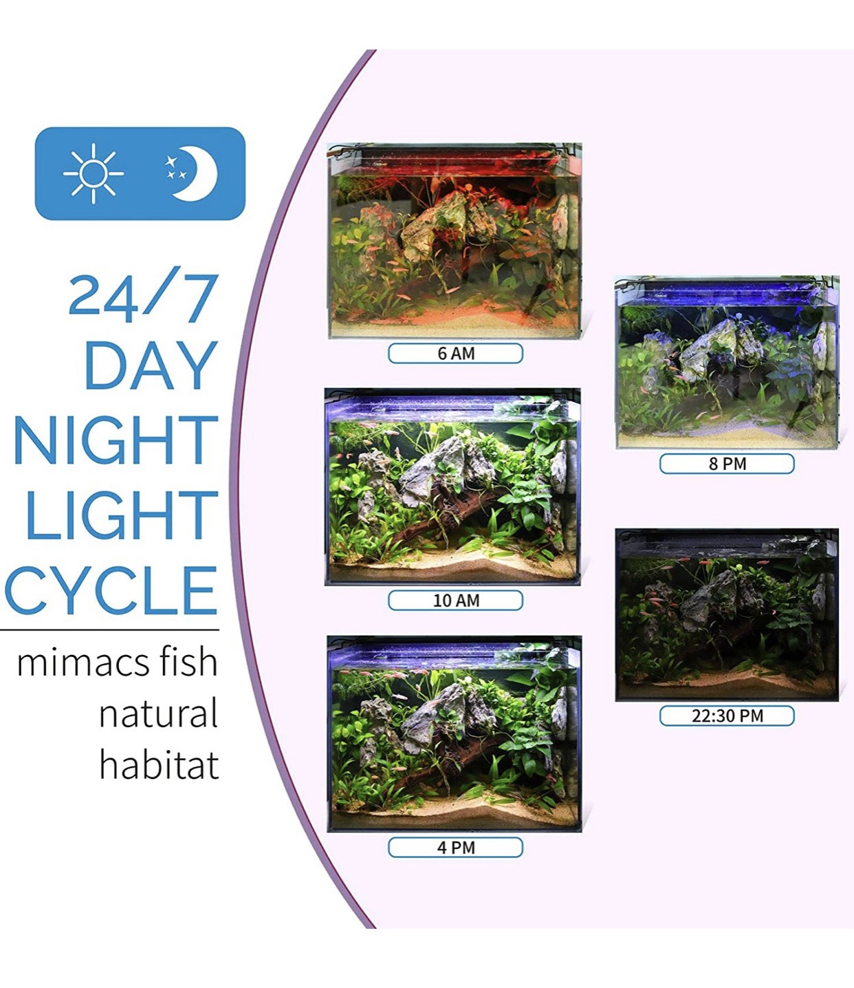 Đèn Led Thủy Sinh WRGB Skyled timmer 60cm