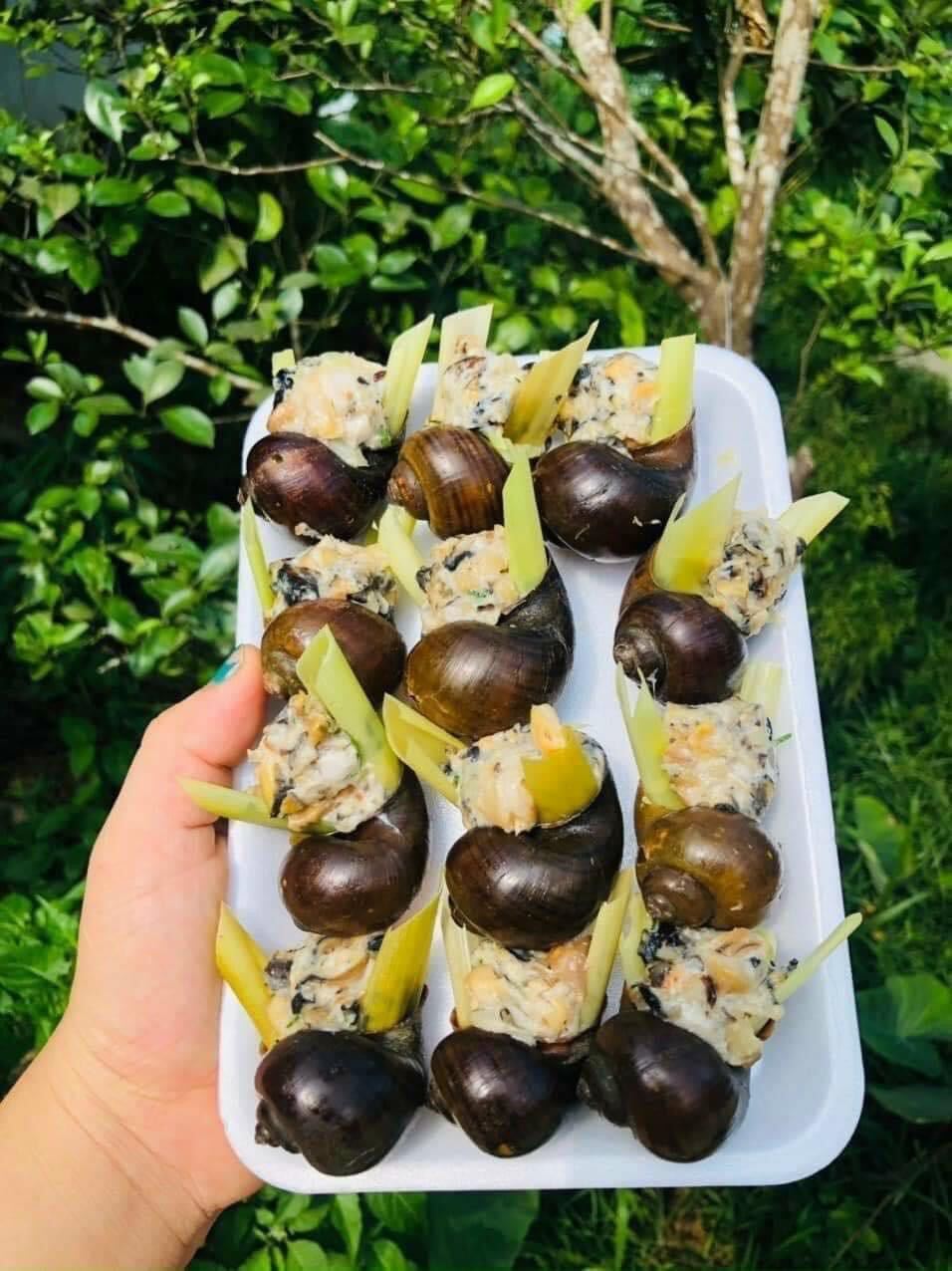 Snails Stuffed with Meat, Tray of 10-12 (Delivery to Ho Chi Minh City)