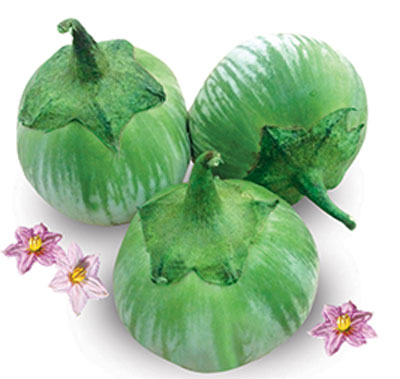 Hạt Giống Cà Dĩa Cao Sản ( Cà Bát Da Ếch ) - Gói 0,5gram