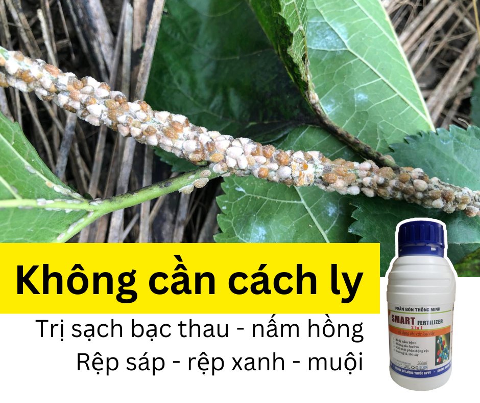 Phân bón thông minh Smart Fertilizer