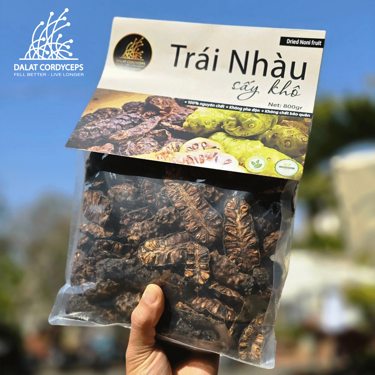 Trái nhàu sấy khô - Dalat Cordyceps