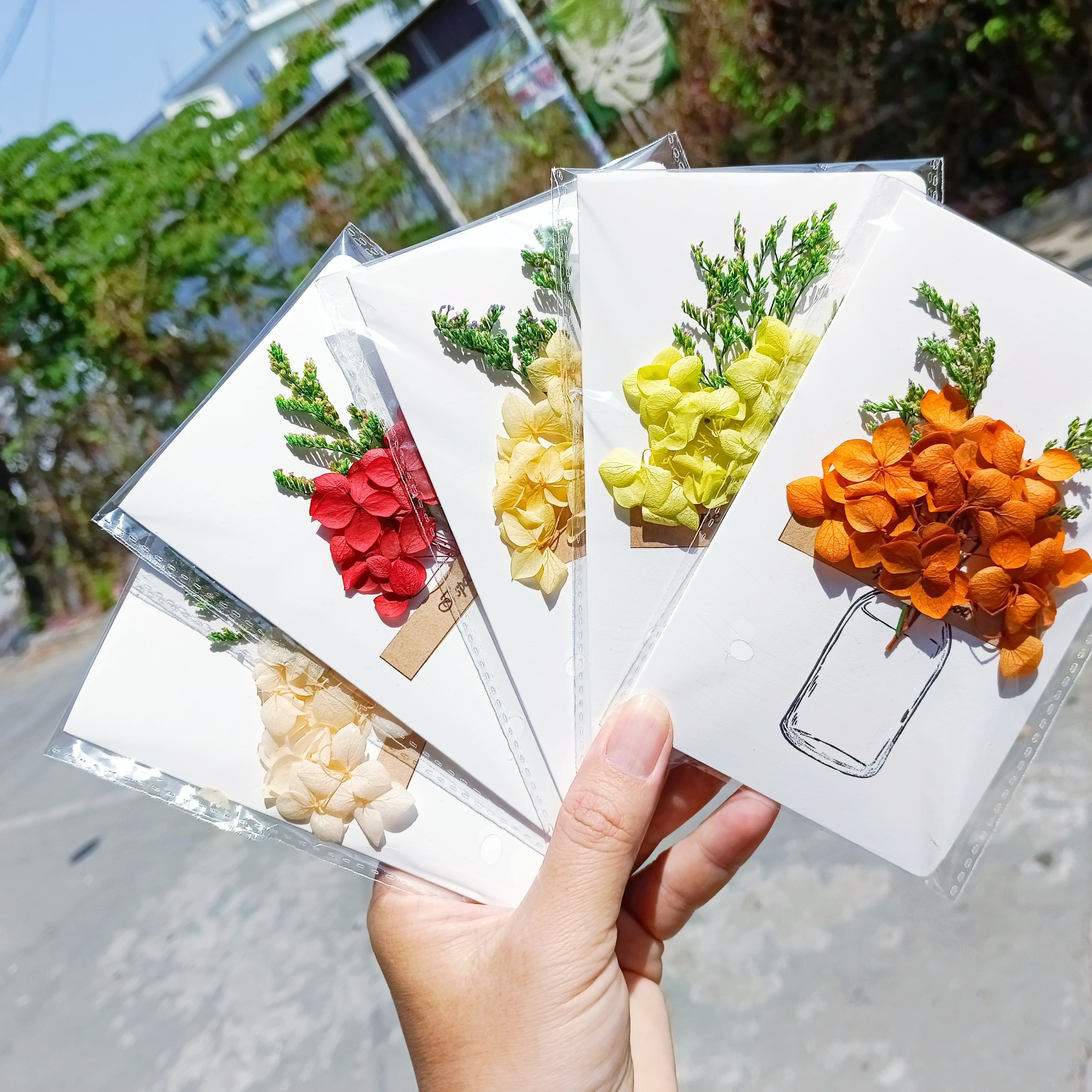 thiệp hoa khô - hoa babi - cẩm tú cầu