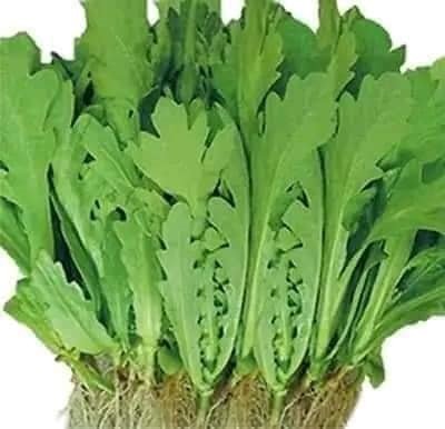 Hạt giống rau cải cúc tẻ,rau tần ô-gói 20g
