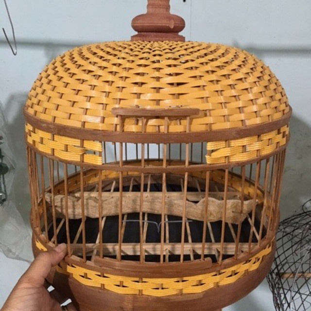 LỒNG CU GÁY ĐAN