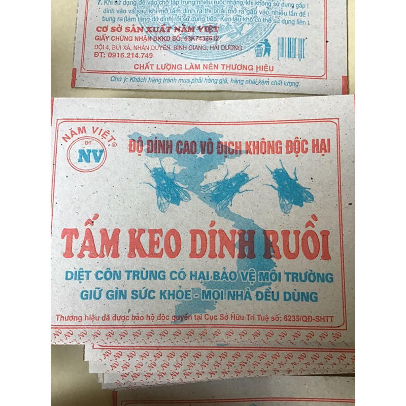 50 Tấm Keo dính ruồi, keo bẫy ruồi siêu dính
