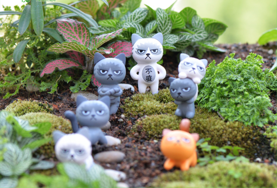 Terrarium ❤️ Freeship ❤️ Tiểu cảnh mèo bực tức