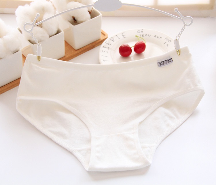 Quần Lót Cotton Nữ,Chip Nữ Pulo Xuất Mỹ