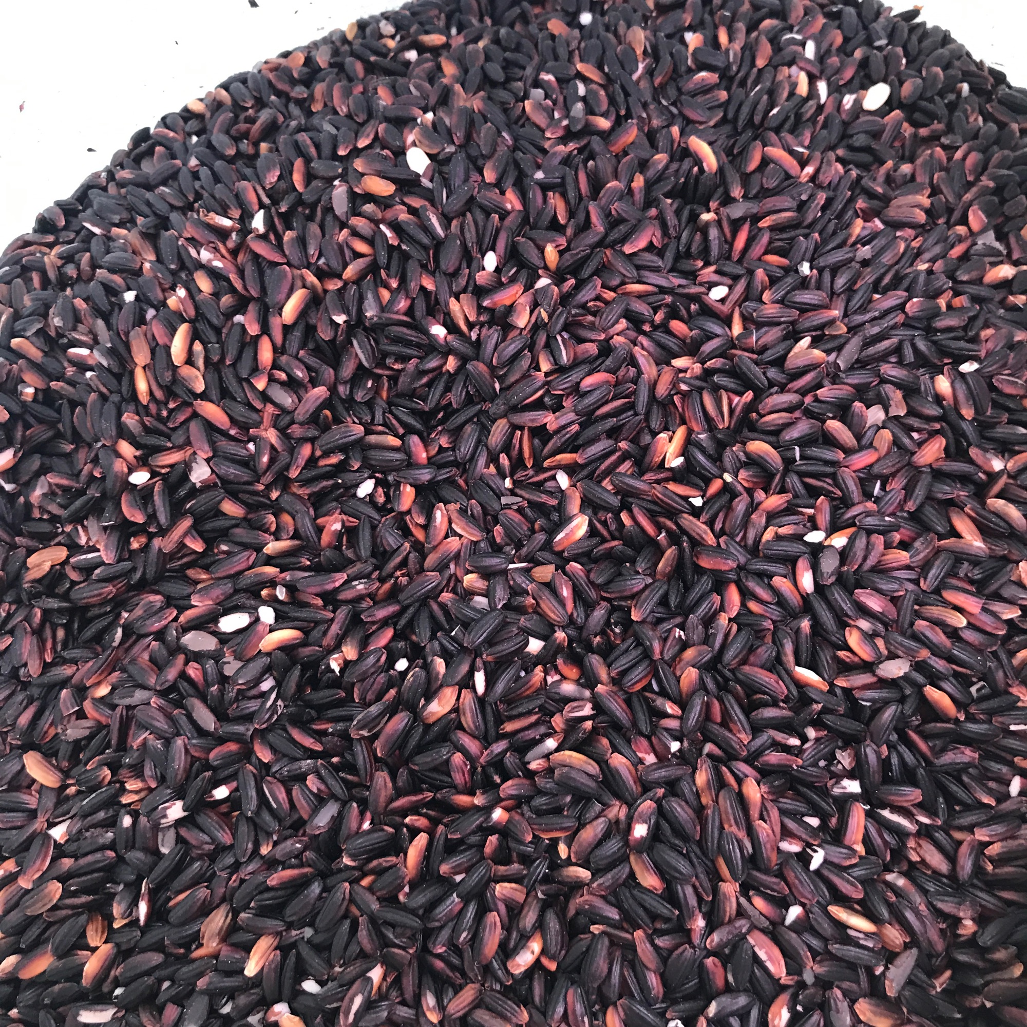 gạo cẩm nếp nương