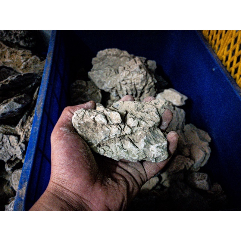 Đá Da Voi (1KG) | Trang trí Thủy Sinh Biotope Iwagumi....|