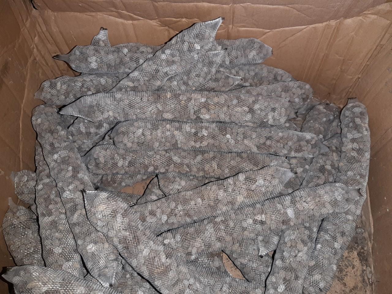 Túi lưới bọc hoa, đựng phân chậm tan, phân dê... 1kg