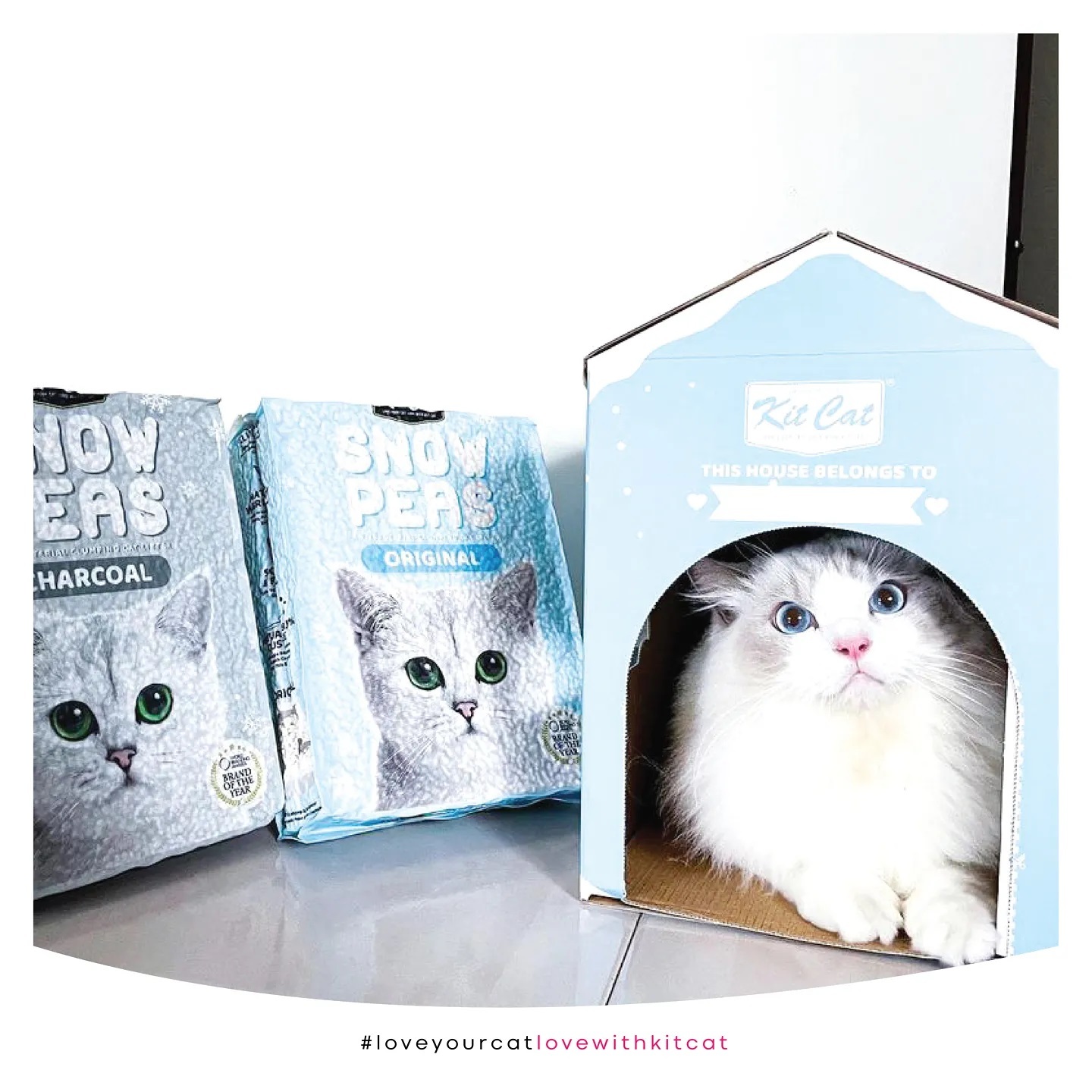 KITCAT SNOW PEAS - CÁT VỆ SINH CHO MÈO