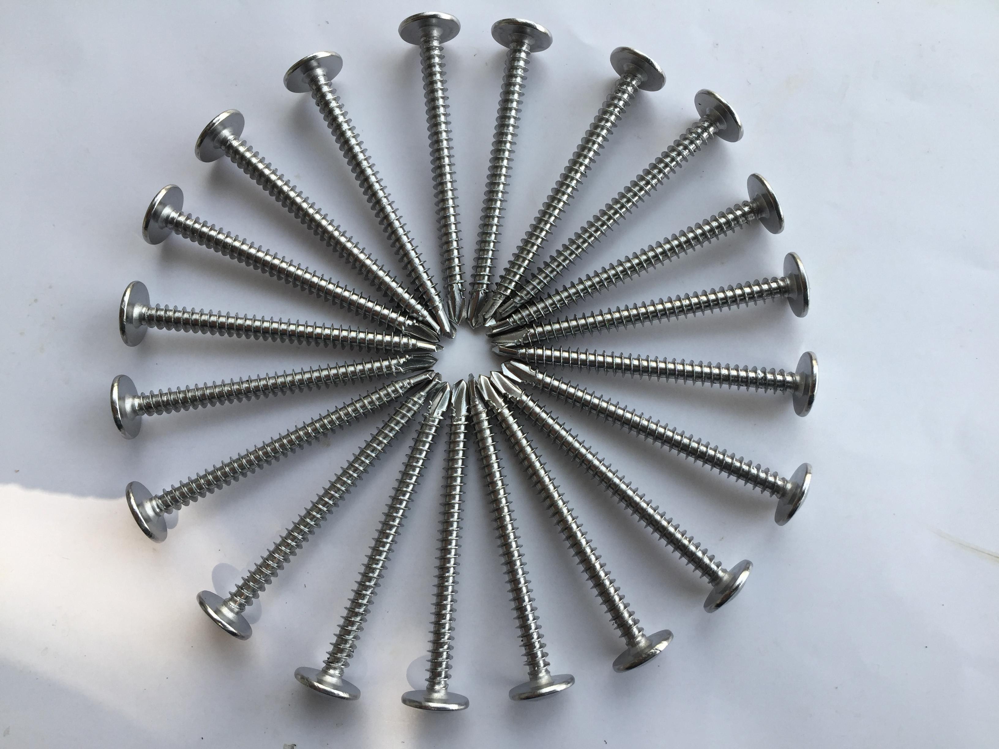 20 chiếc vít inox 304 tự khoan đầu dù phi 4 dài 5cm