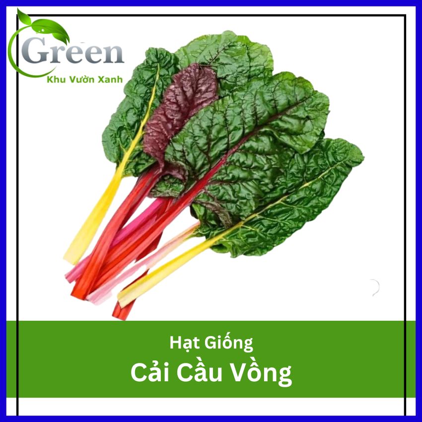 Hạt Giống Cải Cầu Vồng Xuất Xứ Italy