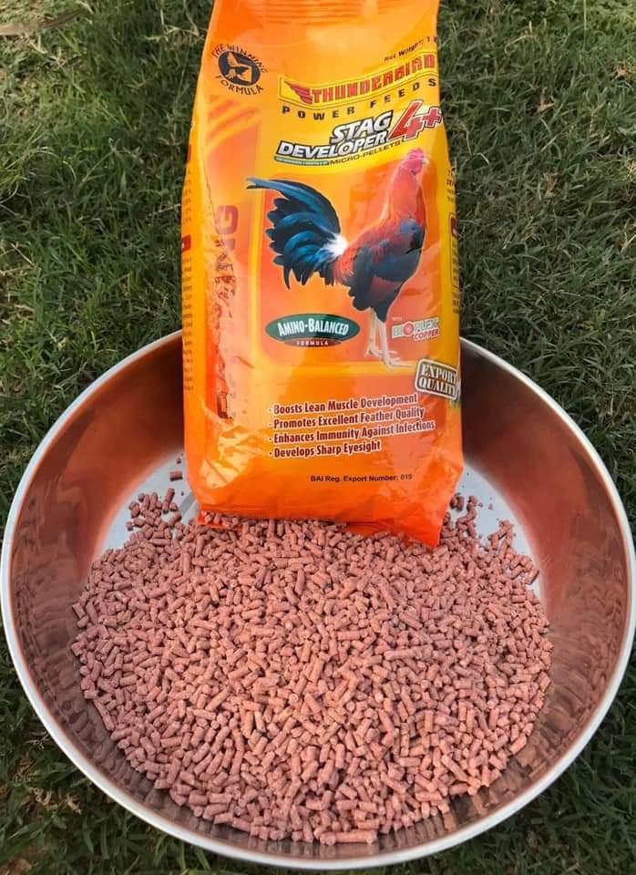 [Hcm]Thunderbird Stag 4+ Fighting Cock Bran (1kg).