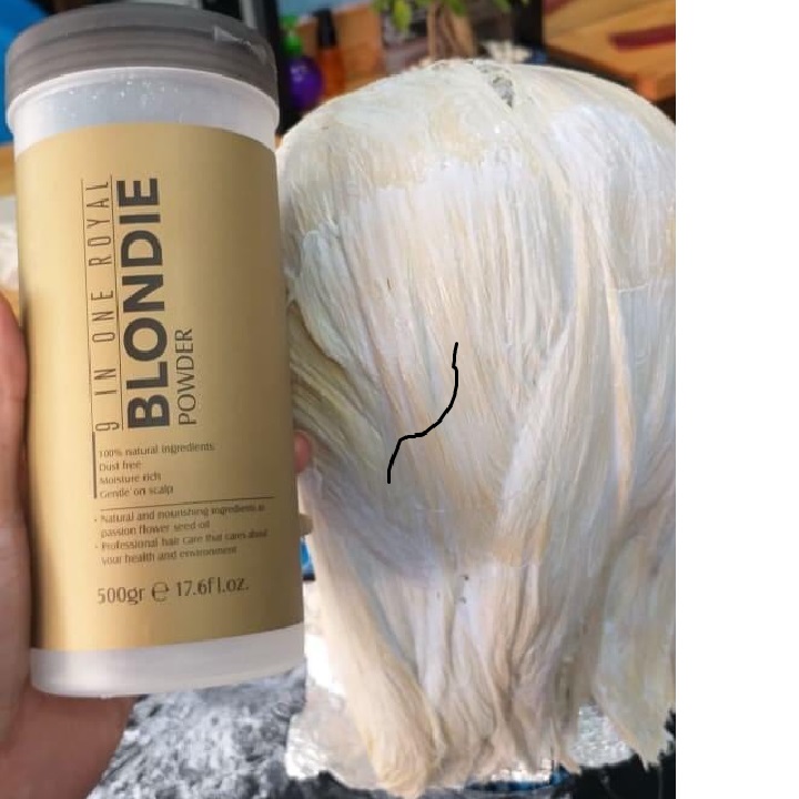 Bột tẩy tóc Blondie Power màu xanh 500gam