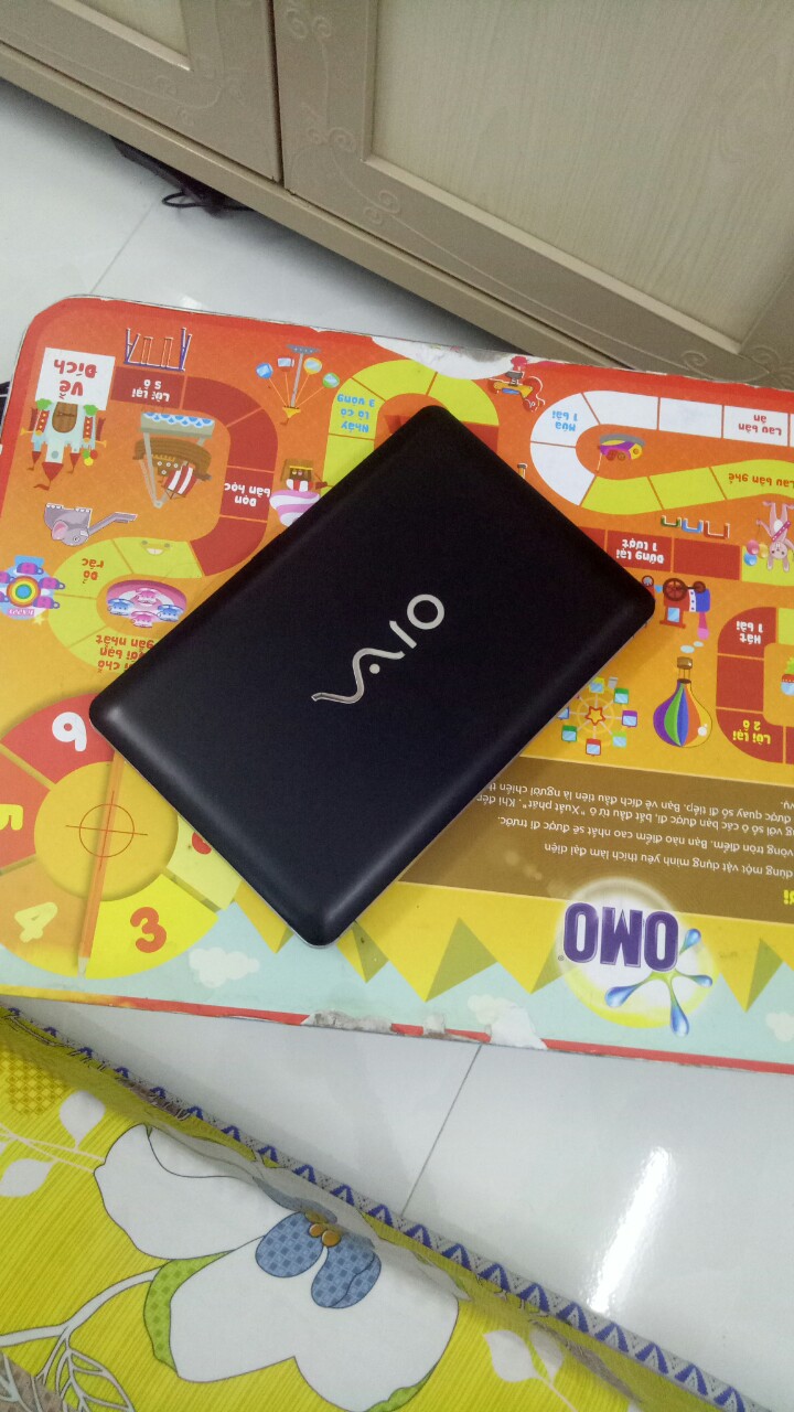 laptop sony mini