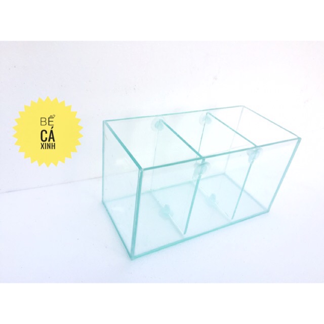 Bể cá 3 ngăn để bàn - bể cá betta cỡ 30*15*16cm-bể cá trang trí