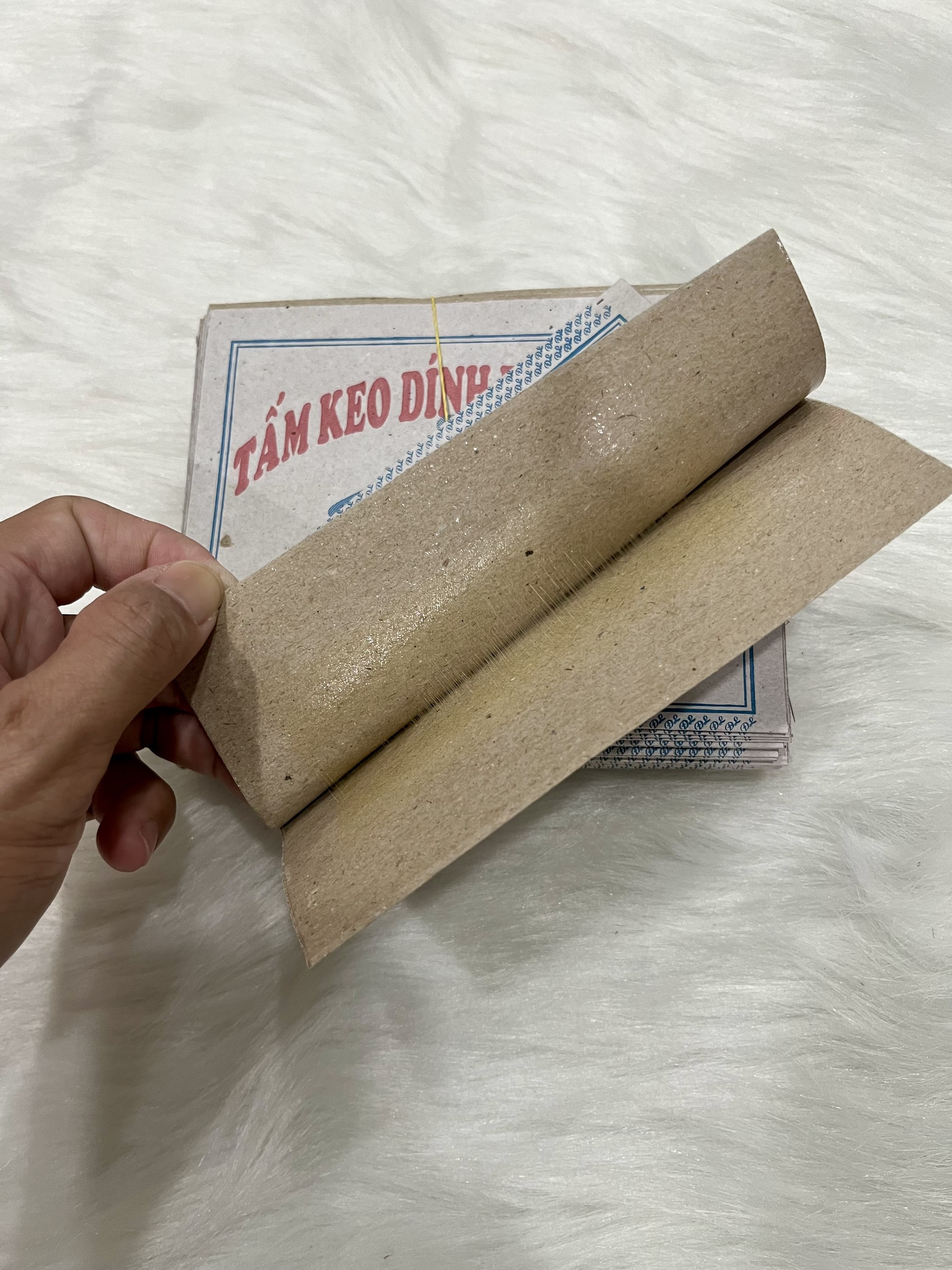 Keo Dính Ruồi - Bó 50 Miếng