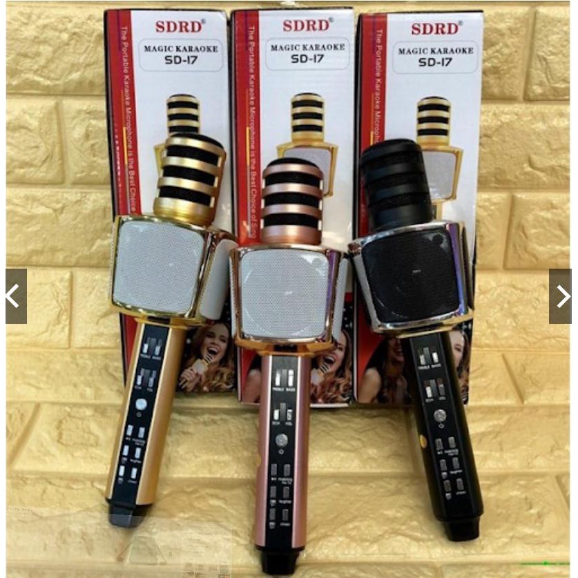 [HCM]MIC KARAOKE 3IN1 SD-17