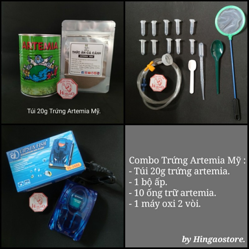 Combo 3 : 20g Trứng Artemia Mỹ + Bộ Ấp + 10 Ống Trữ + Máy Oxi 2 Vòi - Thức ăn cá betta bột, cá bột Hingaostore.