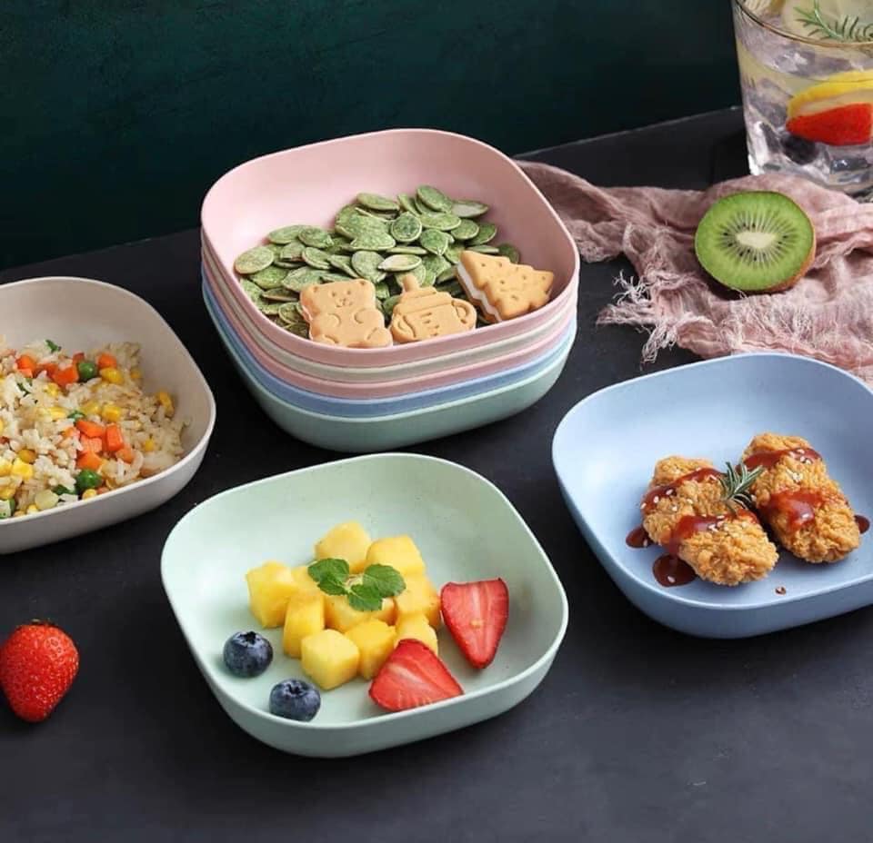 SET 8 ĐĨA VUÔNG LÀM TỪ LÚA MẠCH NHIỀU MÀU