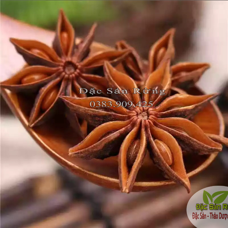Hoa Hồi Khô Lạng Sơn - Đặc Sản Rừng ( 100gr )