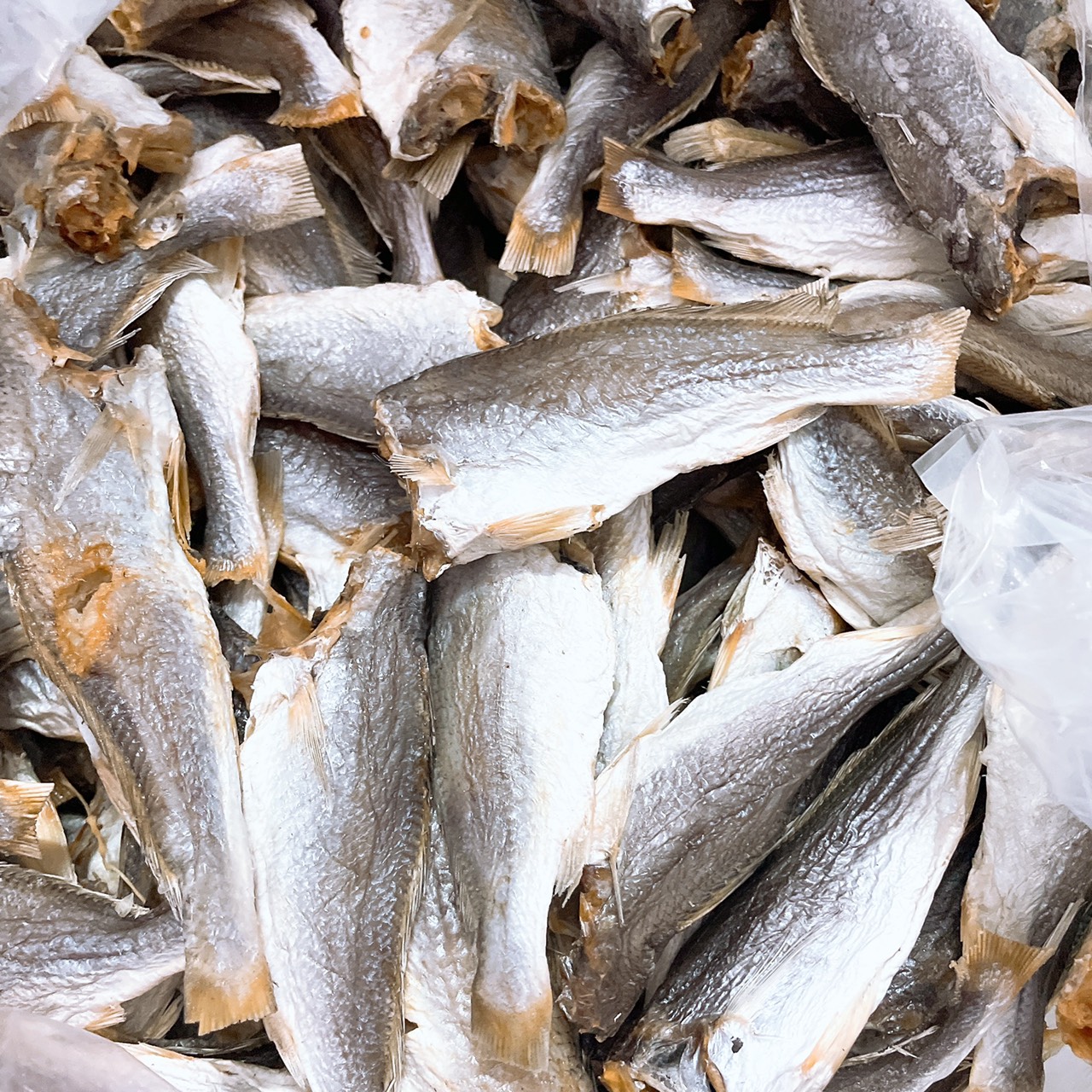 Khô Cá Đù Mặn Cà Mau Size Trung (30-40 con/1Kg)