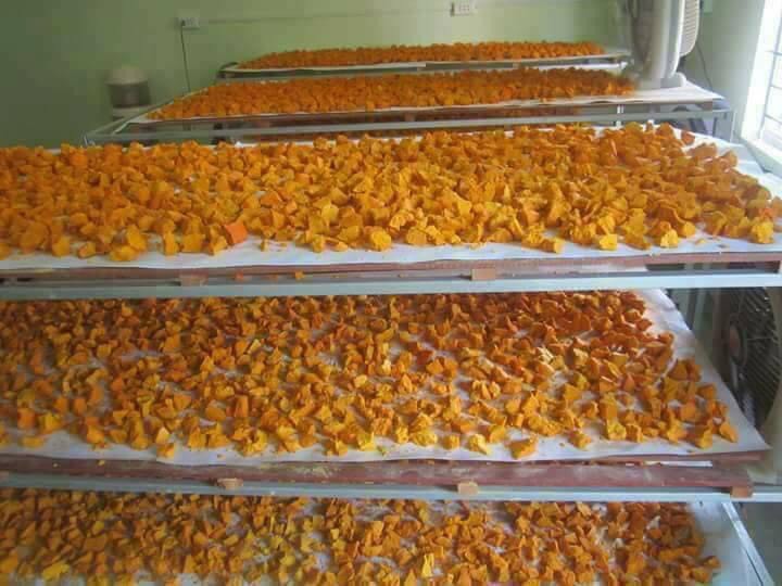 Tinh Bột Nghệ Nguyên Chất Đăk Lăk 50 gram