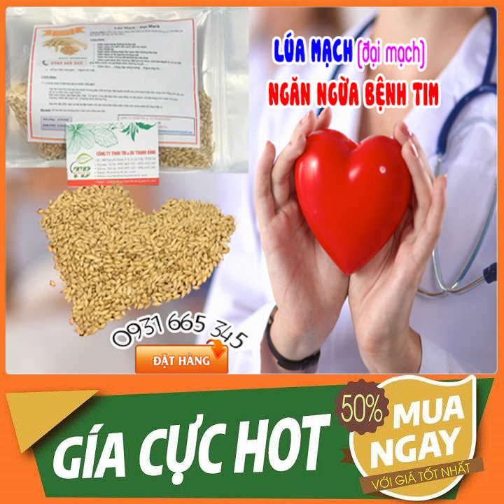Lúa Mạch - Đại Mạch 500G Khô Loại Cao Cấp - Thảo Dược Thanh Bình
