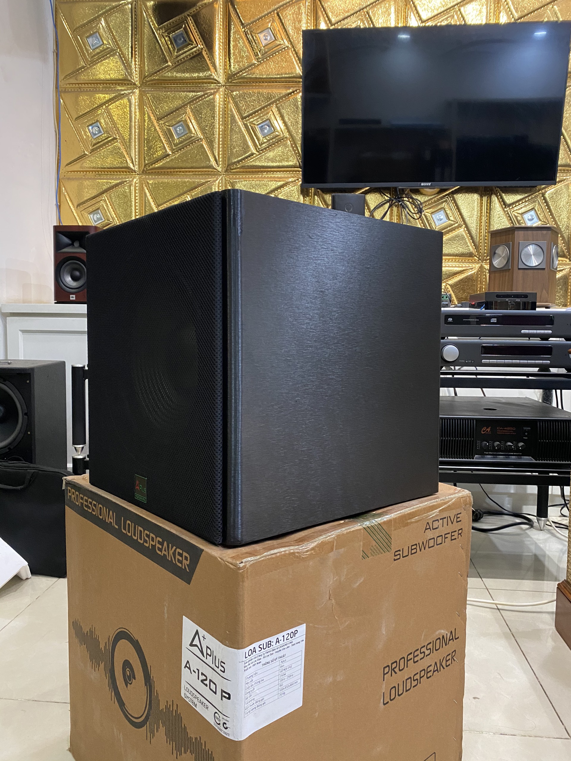Loa Sub Điện Bass 3 Tấc Aplus A 120P