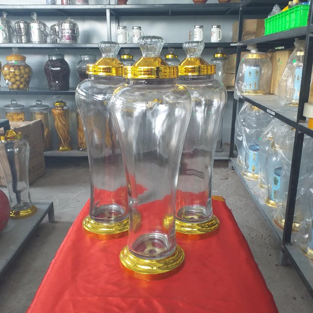 BÌNH NGÂM RƯỢU SÂM, ĐINH LĂNG, HOA QUẢ THỦY TINH 7 LÍT