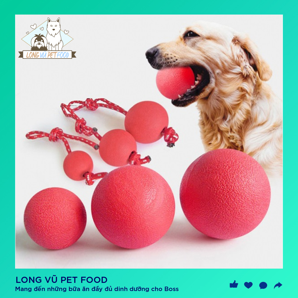 Bóng Cao Su Có Dây Huấn Luyện Chó Mèo Thú Cưng Siêu Bền Dẻo - Long Vũ Pet Food