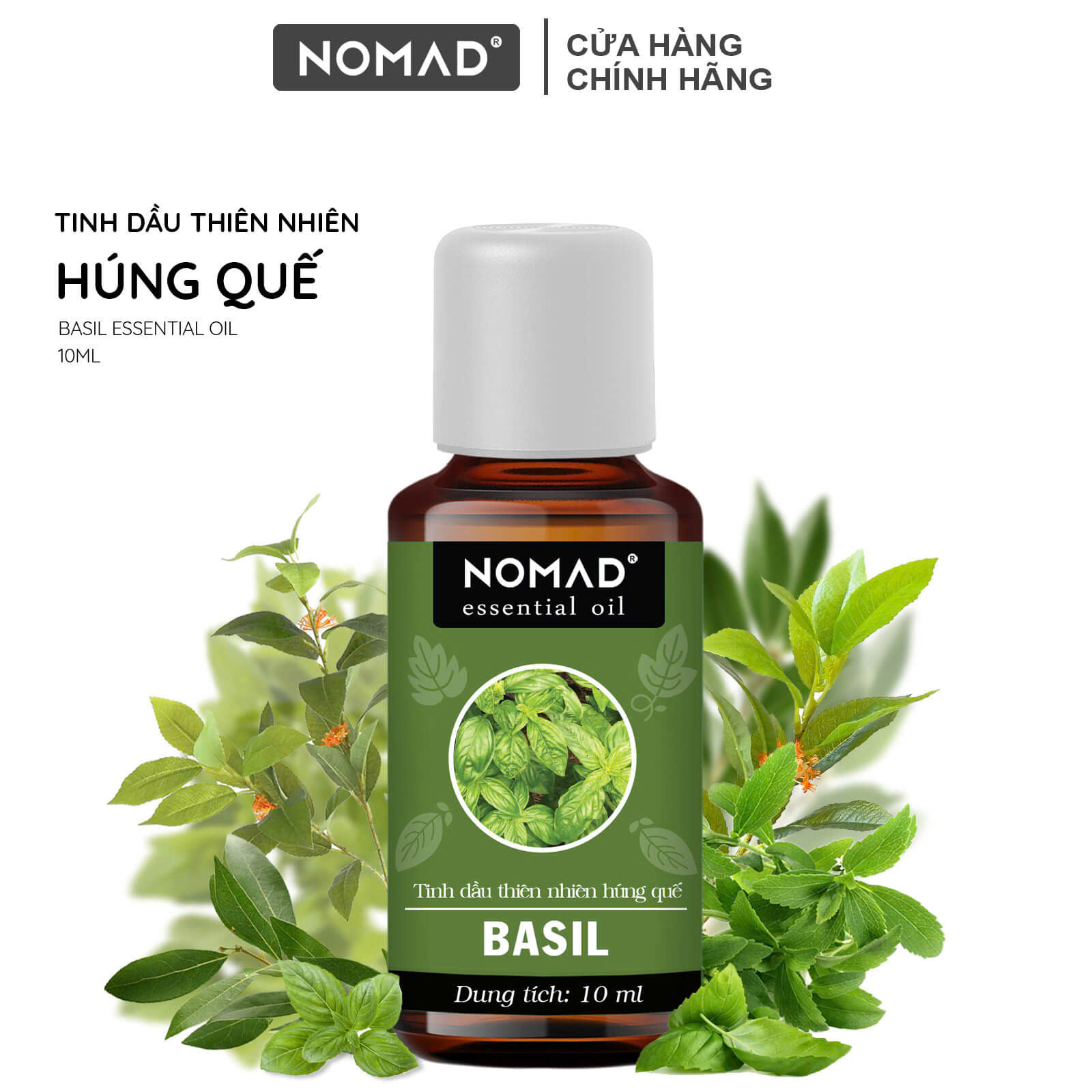 Tinh Dầu Húng Quế Nguyên Chất Nomad Essential Oils Basil