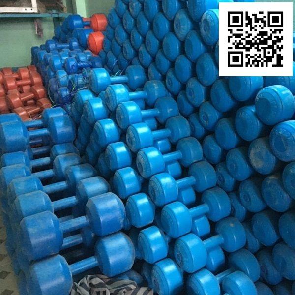 Tạ tay nhựa VN 6 Kg