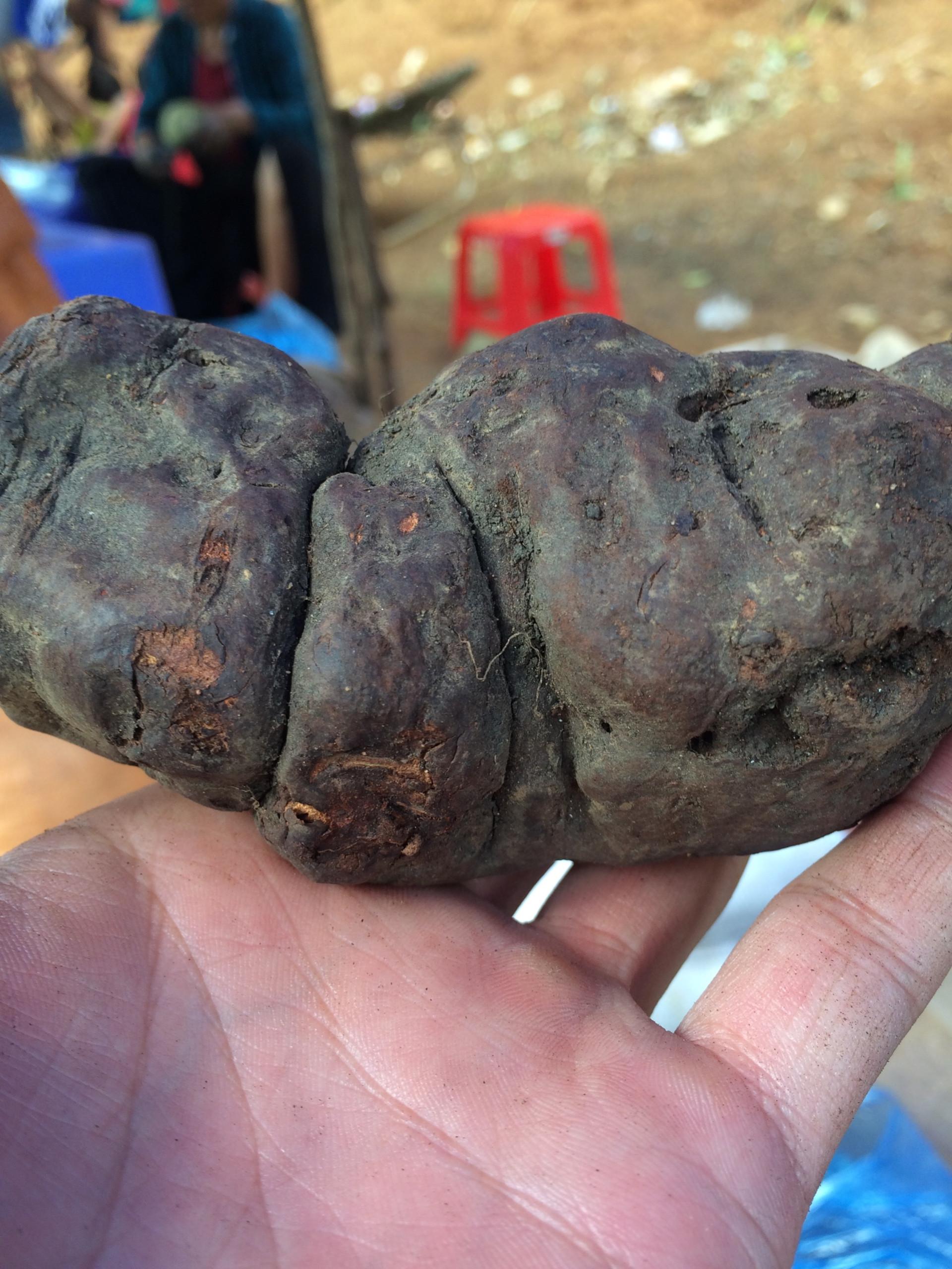 Hà Thủ ô đỏ 500g khô