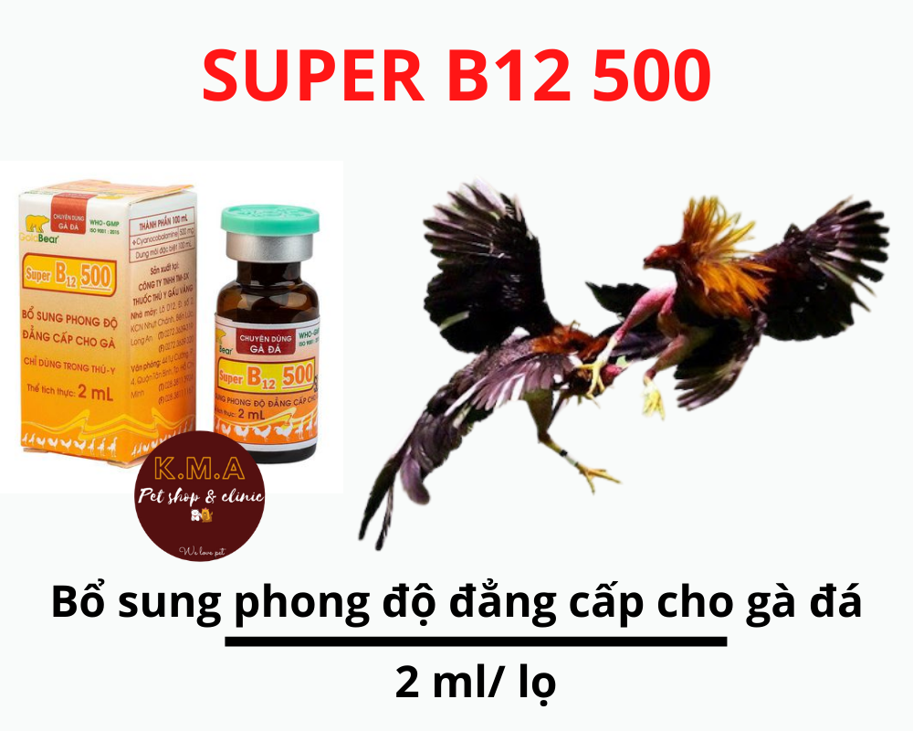 Super b12 500 dùng cho gà đá